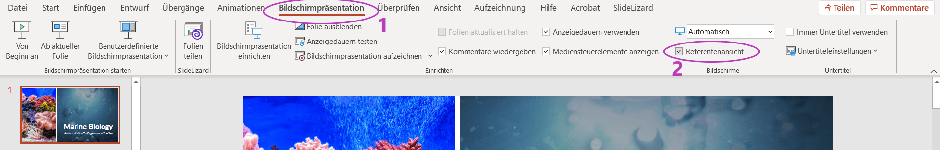 in die Referentenansicht wechseln