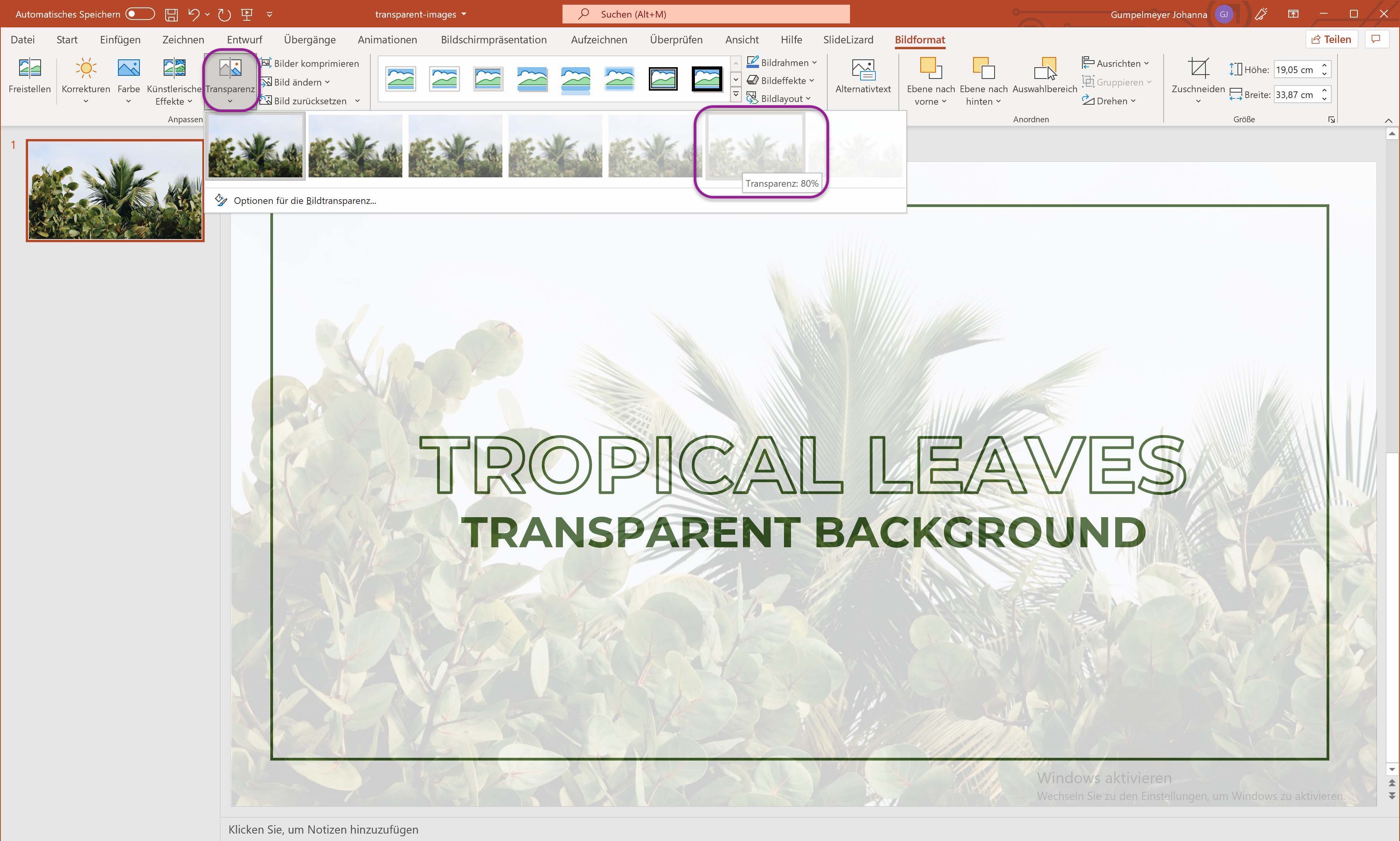 Bilder in PowerPoint transparent machen 2022 SlideLizard 174 