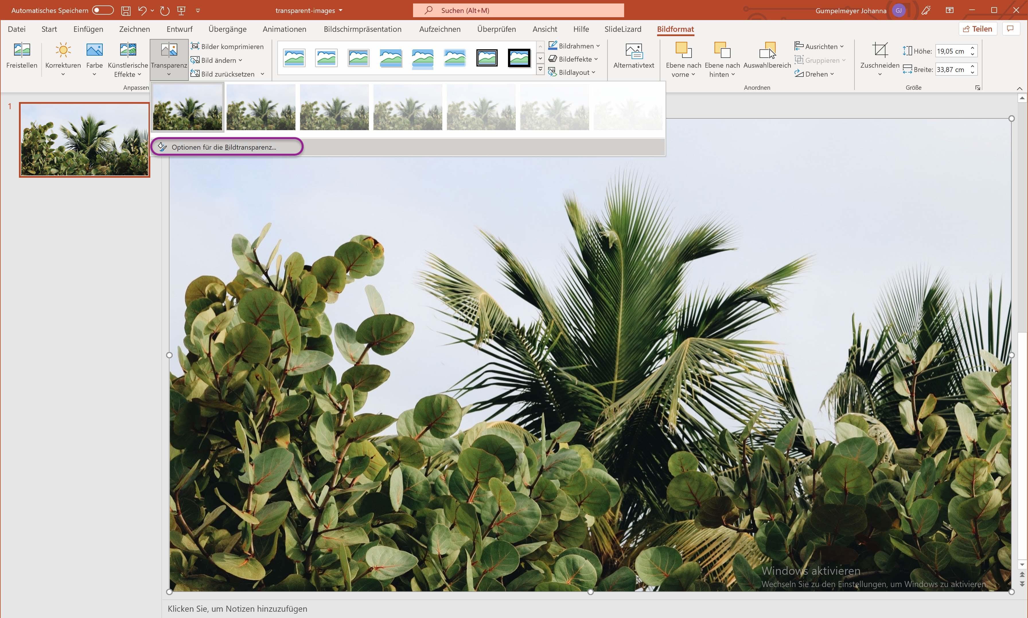 Optionen für die Bildtransparenz