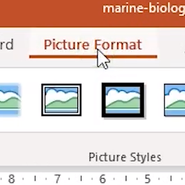 Powerpoint Bild Schrag Oder Als Kreis Zuschneiden Slidelizard