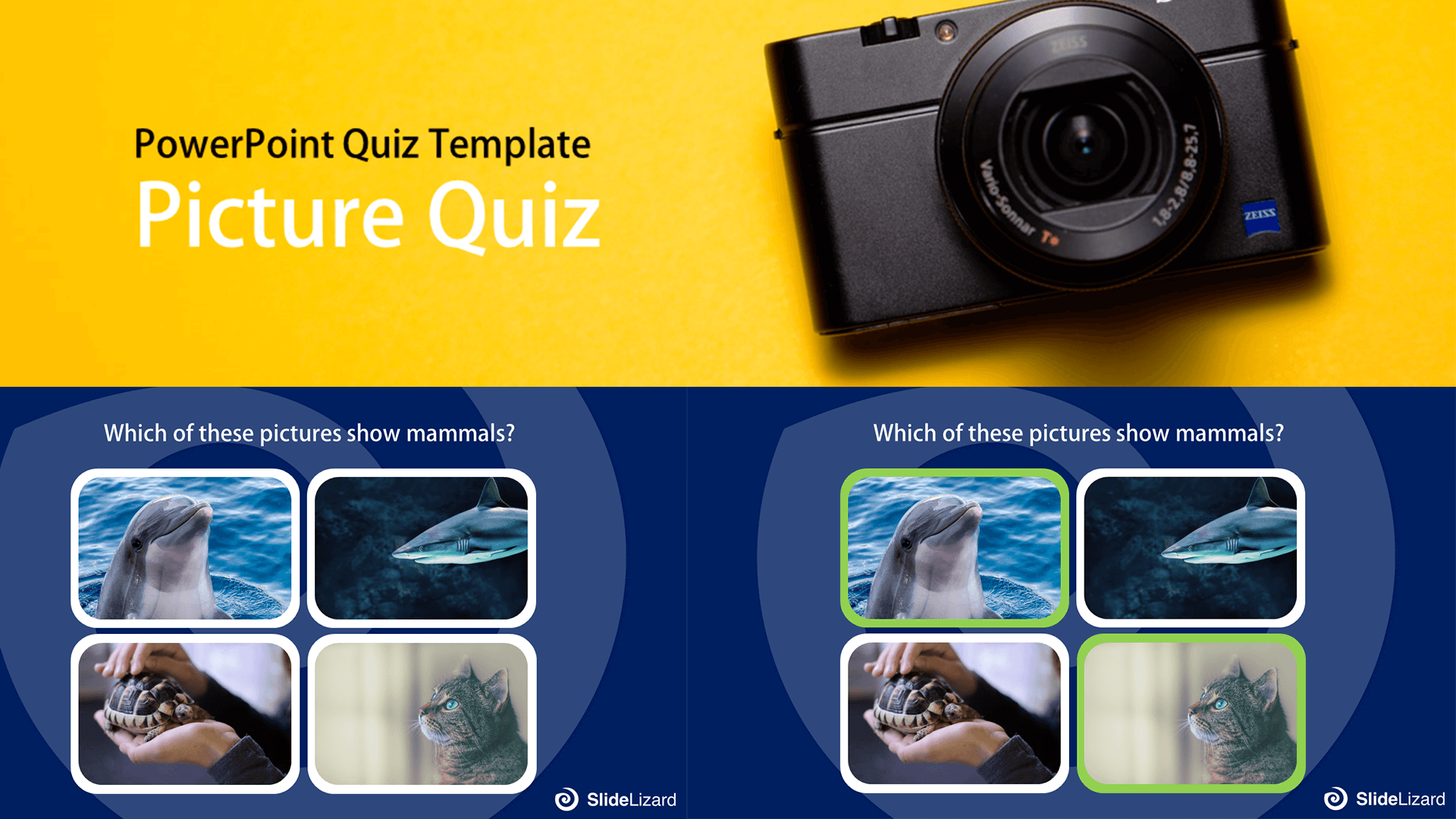 10 free interactive PowerPoint Quiz Templates (2022) | SlideLizard®