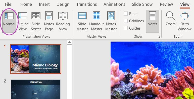 how-to-add-and-print-notes-in-powerpoint-slides