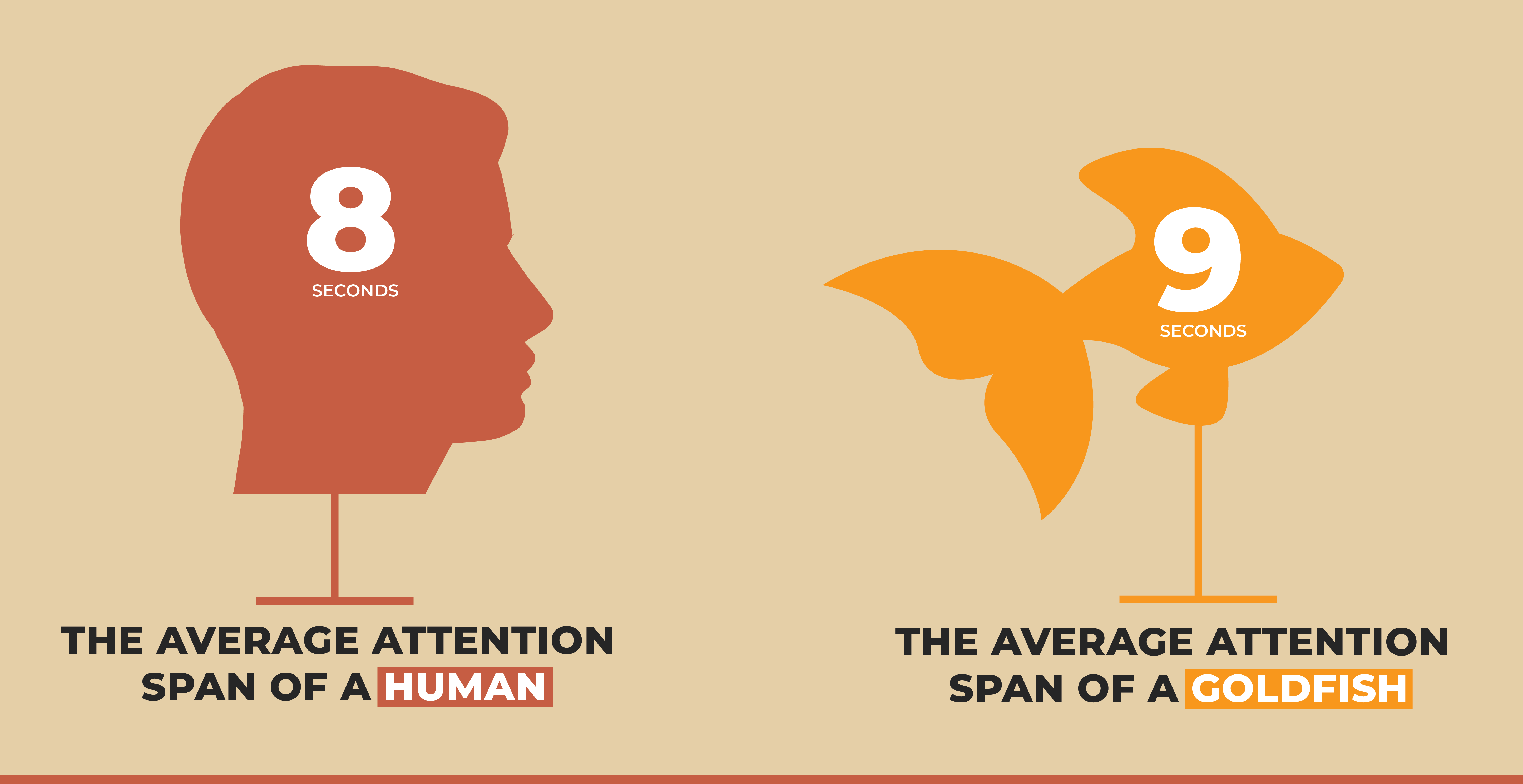 Attention Span