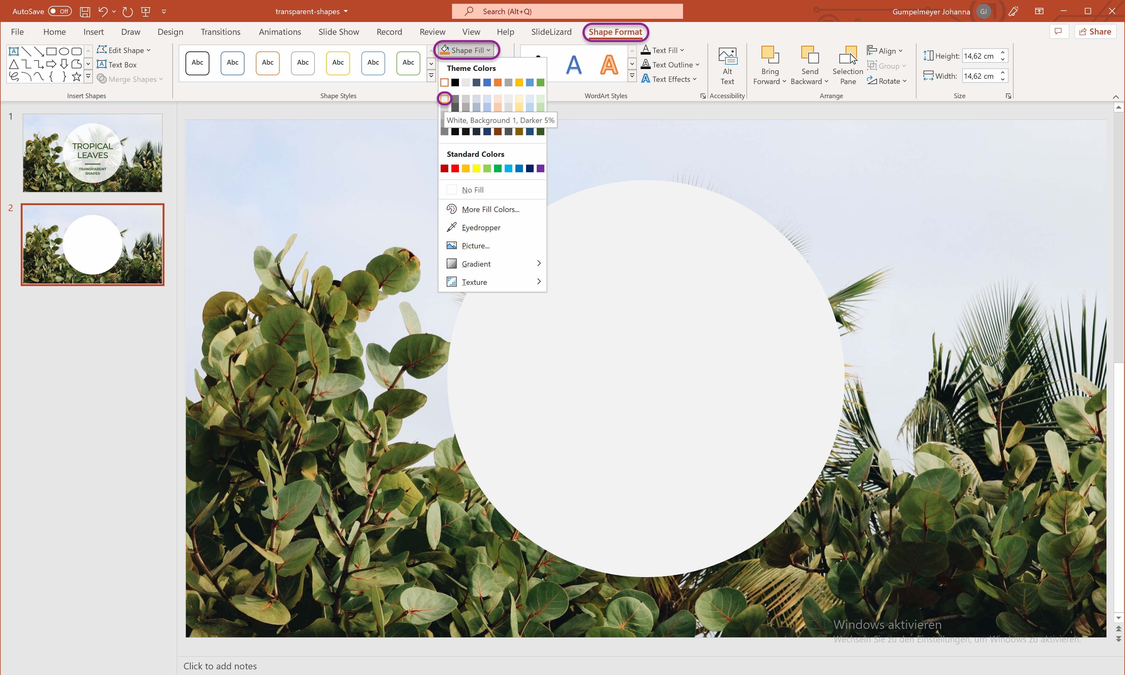 Make a picture transparent in PowerPoint (2022) | SlideLizard®