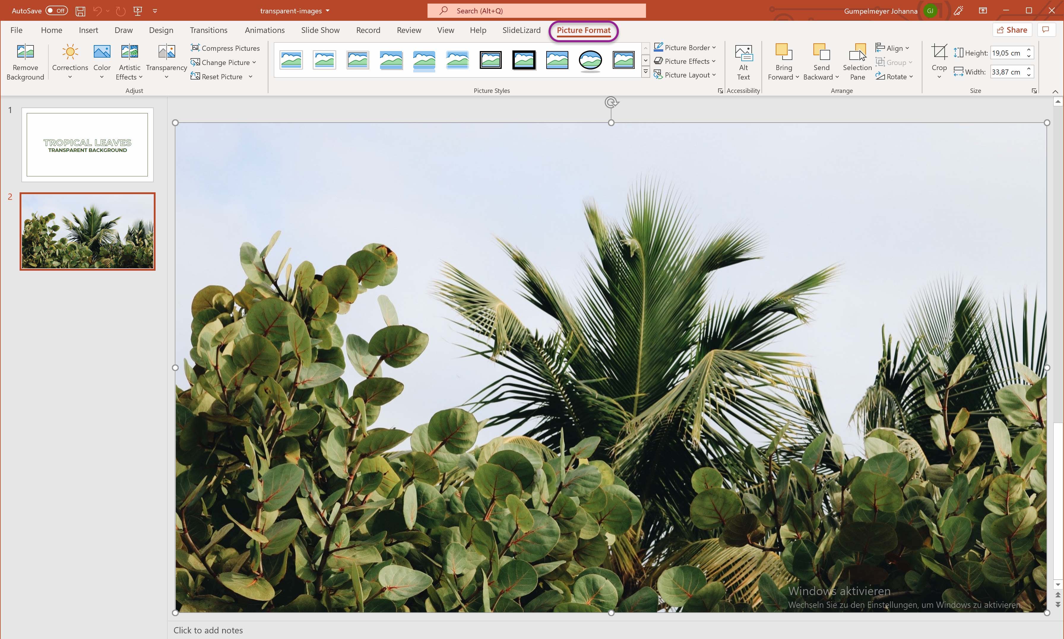 Make a picture transparent in PowerPoint (2022) | SlideLizard®