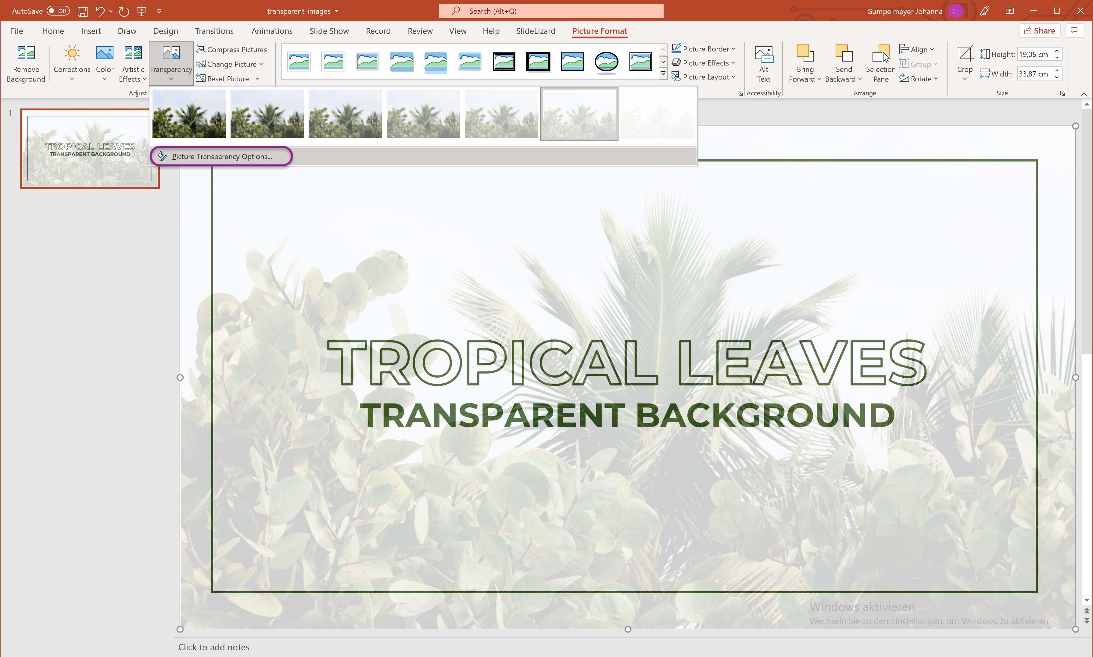 Make a picture transparent in PowerPoint (2022) | SlideLizard®