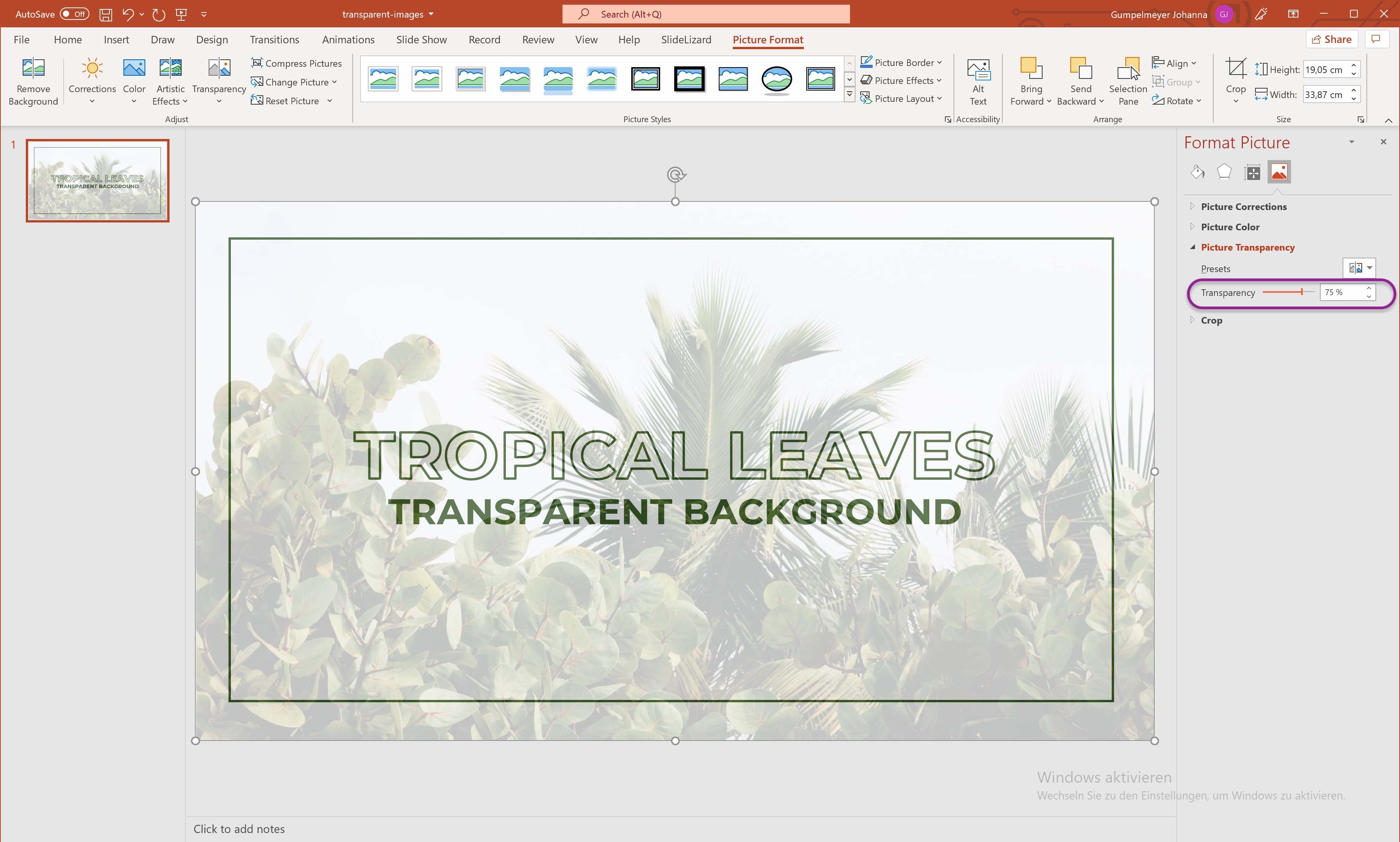 Make a picture transparent in PowerPoint (2022) | SlideLizard®