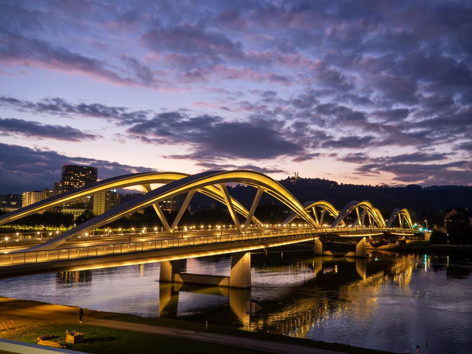 Wine & Business 2025 Linz skyline